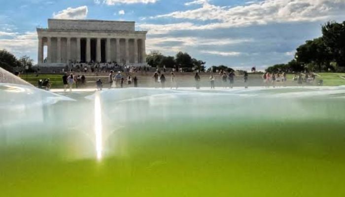 Trump defends reflecting pool project, blames ‘deranged' vandals