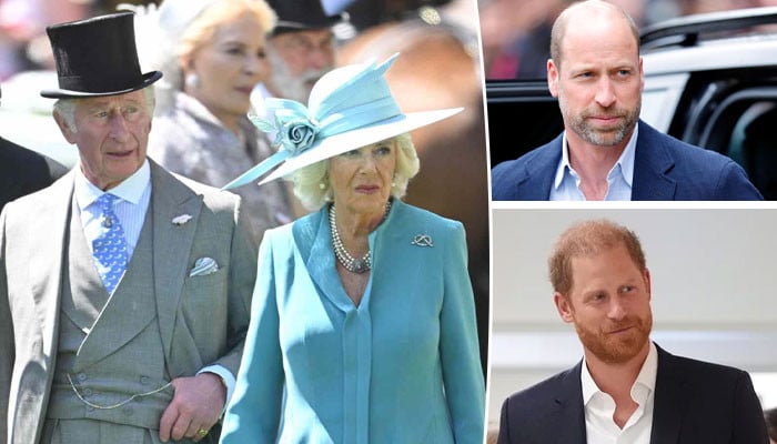 Queen Camilla true feelings on Princes William, Harry reunion laid bare