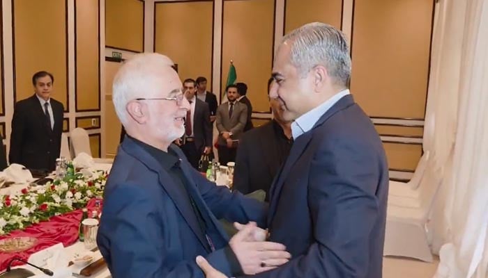 Pakistan to continue efforts for regional stability, Naqvi tells Iranian counterpart