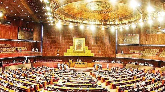 Joint parliament session: Govt bulldozes amendments to Election Act allowing use of EVMs, voting rights to overseas Pakistanis