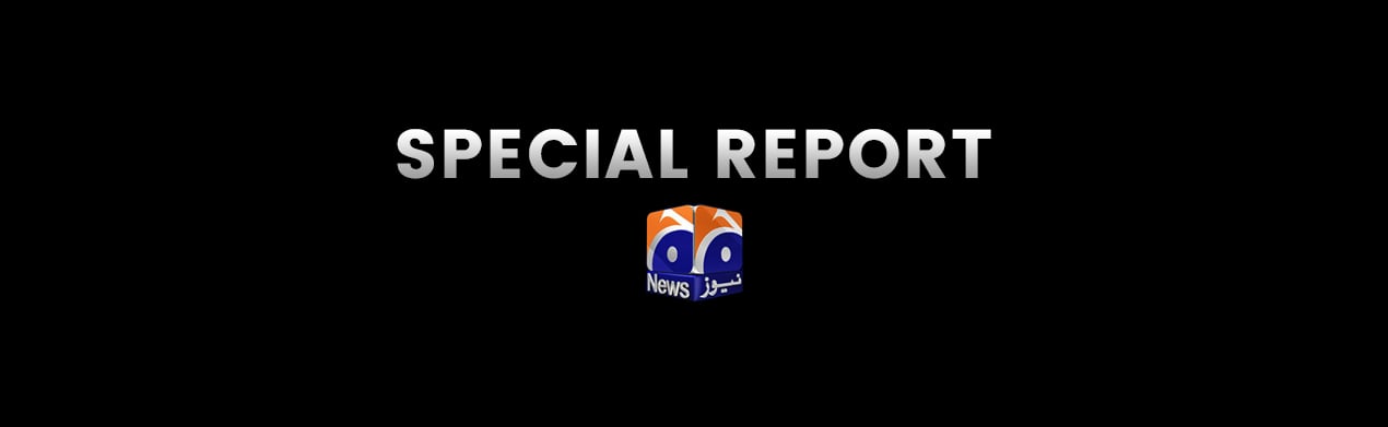 Special Report