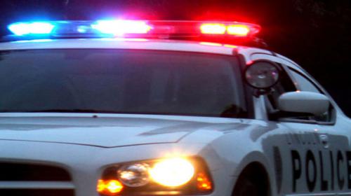 US woman drowns puppy in toilet to get on plane: report