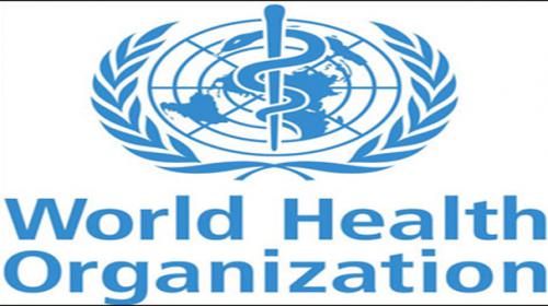 WHO names Ebola response chief