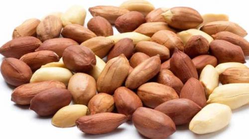 Eating peanuts early could prevent allergy in infants: study