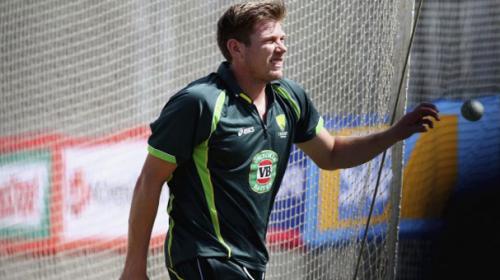 Faulkner fit to face Afghanistan