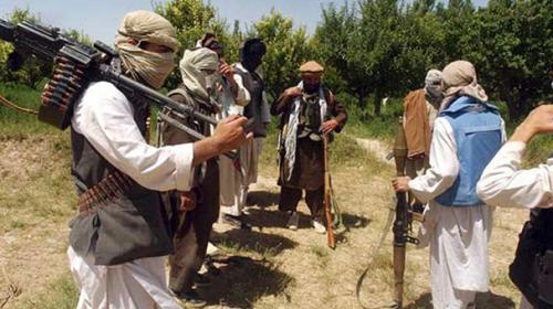 Qari Shakeel, key Pakistani Taliban commander, killed in Afghanistan: report