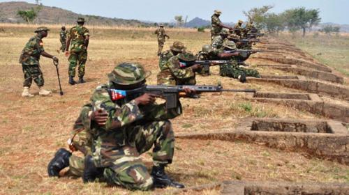 Nigeria begins ‘final onslaught’ against Boko Haram: govt
