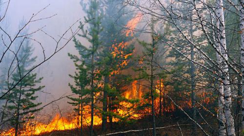 Siberia wildfire kills five with scores hurt