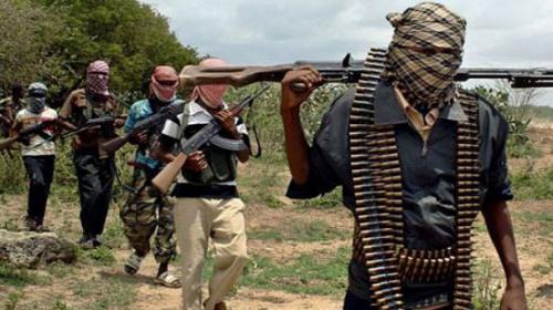 ‘Heavy toll’ feared after Boko Haram attacks Niger army