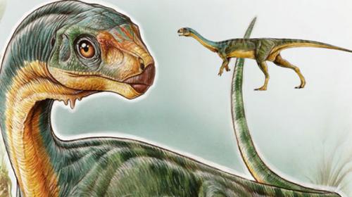 T.Rex’s ‘bizarre’ vegetarian cousin puzzles scientists