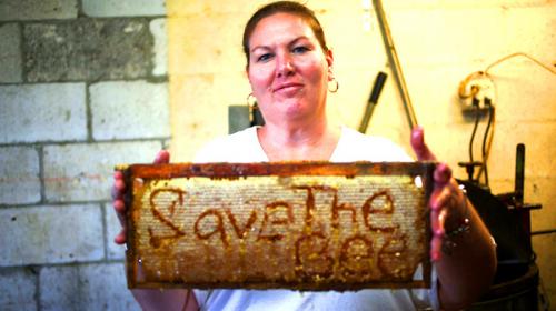 White House gets busy to save the bees