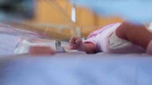 German grandmother gives birth to quadruplets at age 65
