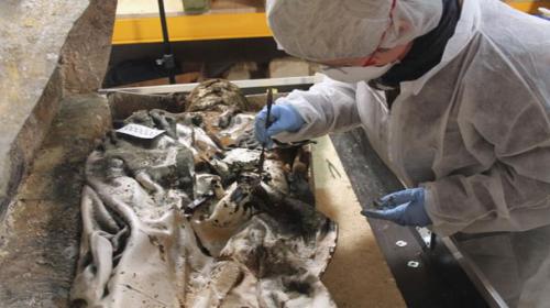 Fully-dressed 17th century noblewoman unearthed in France