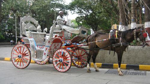Indian court bans Mumbai's horse-drawn carriages