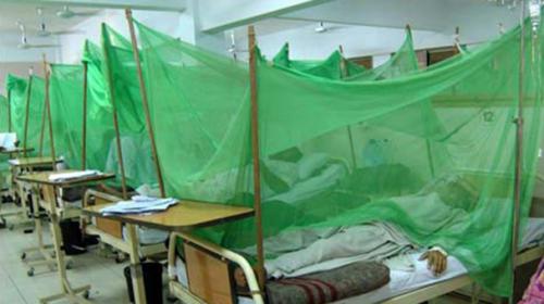 Dengue on the Rise in Karachi 