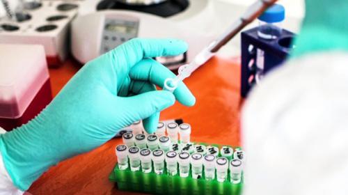 Experimental drug regrows damaged body tissue