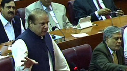 PM clarifies controversial 'fly' remark on Karachi strikes