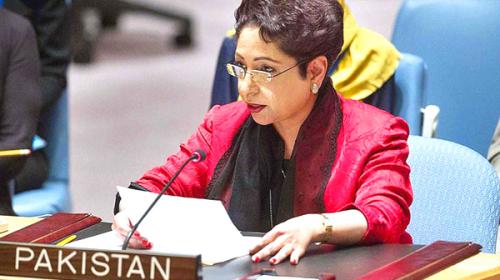 Any effort to destabilise Pakistan will be responded forcefully: Maleeha Lodhi
