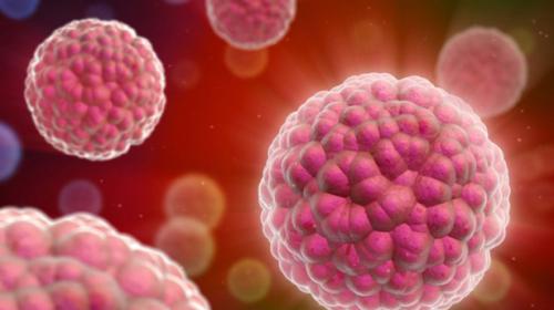 Cancer deaths worldwide to rise over 11 mln in 2030
