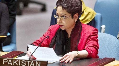 Pakistan to take issue of Indian interference to UN