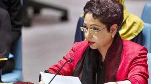 Maleeha Lodhi discusses Indian interference with FO officials 