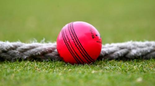 Aus-NZ to play historic day-night Test