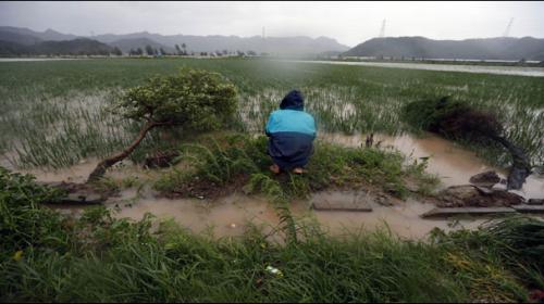 Typhoon Chan-hom swipes eastern China