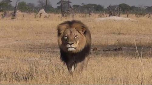 Two men due in court for killing Zimbabwe´s Cecil the lion