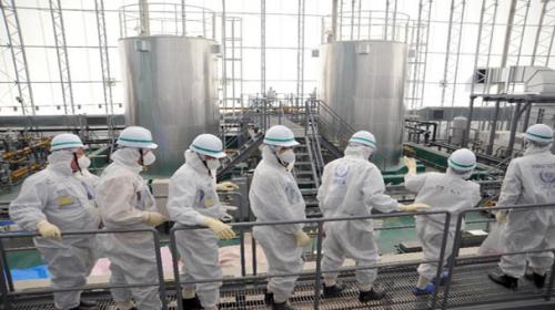 Health fallout from Fukushima mainly mental: studies