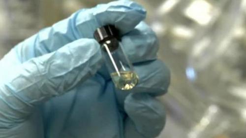 Breakthrough in quest for Ebola vaccine