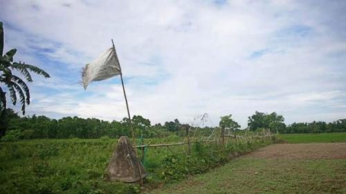 Crowds cheer Bangladesh-India land swap after 70 years in limbo