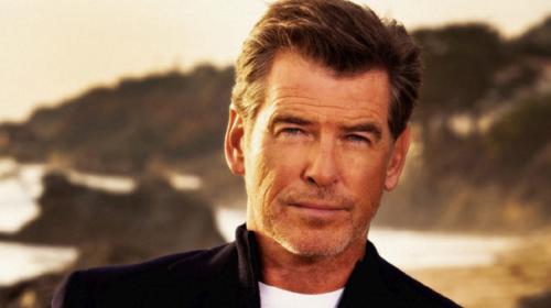 007 actor Brosnan stopped at US airport with knife