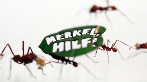 ‘Half a million ants march in Germany’ to protect Amazon rainforest