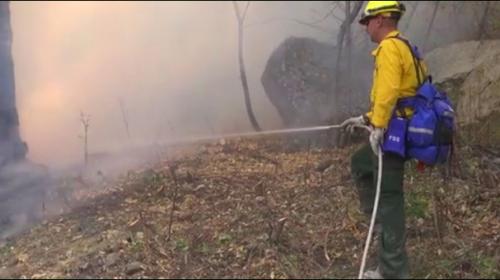 Three firefighters die battling blazes in Washington state