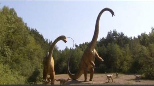 German scientists find rare dinosaur tracks