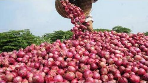 Onion prices shoot up after India,Bangladesh place import orders