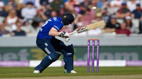 Morgan out after concussion