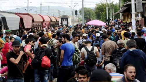 Over 500,000 migrants cross EU border so far this year