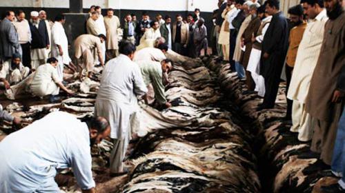 Code of conduct issued for collection of hides on Eidul Azha 