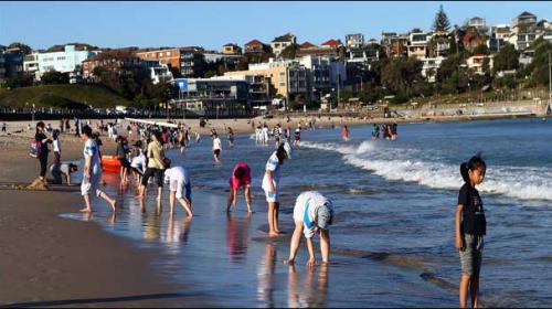 August breaks heat records across globe: US