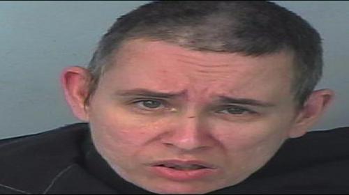 Florida woman arrested in 'booby trapped' home with more than 3,700 blades