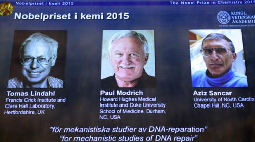 Trio wins Nobel Chemistry Prize for DNA repair work