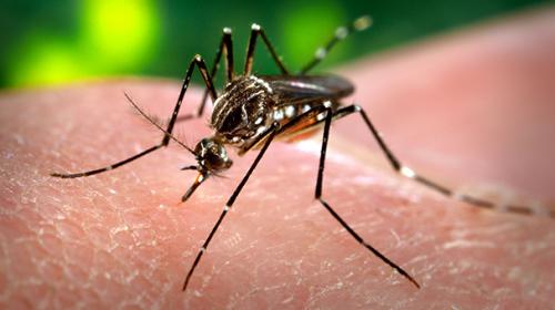 32 more dengue cases reported in Malakand