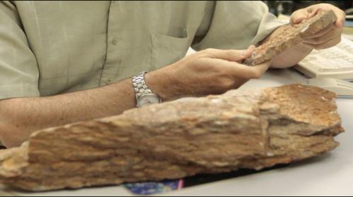 Ancient crystal suggests life on Earth appeared 4.1 billion years ago