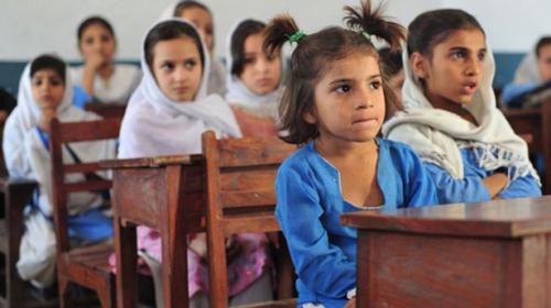 Enrollment ratio of primary schoolchildren has improved: ADB