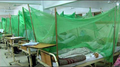 Dengue claims child's life in Peshawar; number of patients rises in Punjab