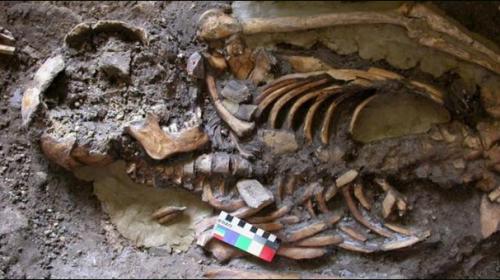 Genetic sleuthing helps sort out ancestry of modern Europeans