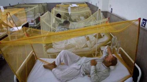 Dengue fever outbreak sets a new record