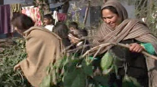 Low gas pressure in Islamabad, housewives forced to use wood to fire their stoves