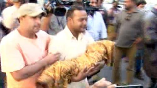 Bilawal's security protocol claims toddler's life at Karachi hospital 
